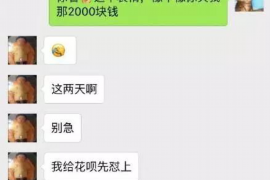 泰州企业清欠服务